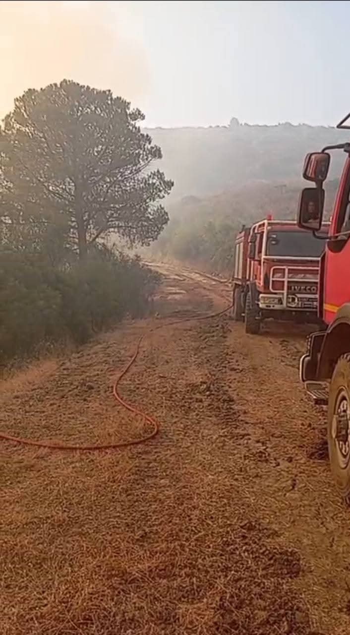 FB_IMG_1753368467057