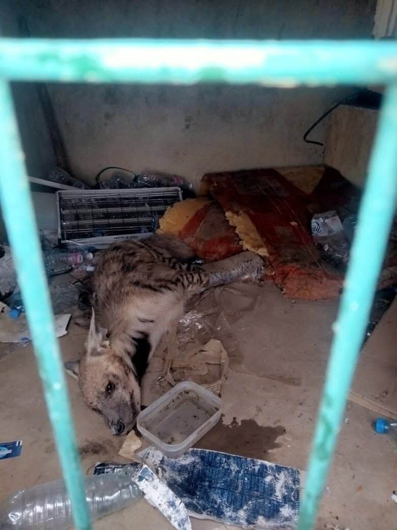 FB_IMG_1759917776400