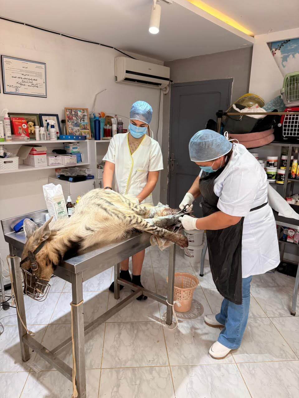 FB_IMG_1759917779244