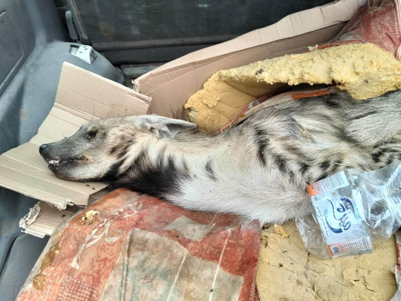 FB_IMG_1759917783684