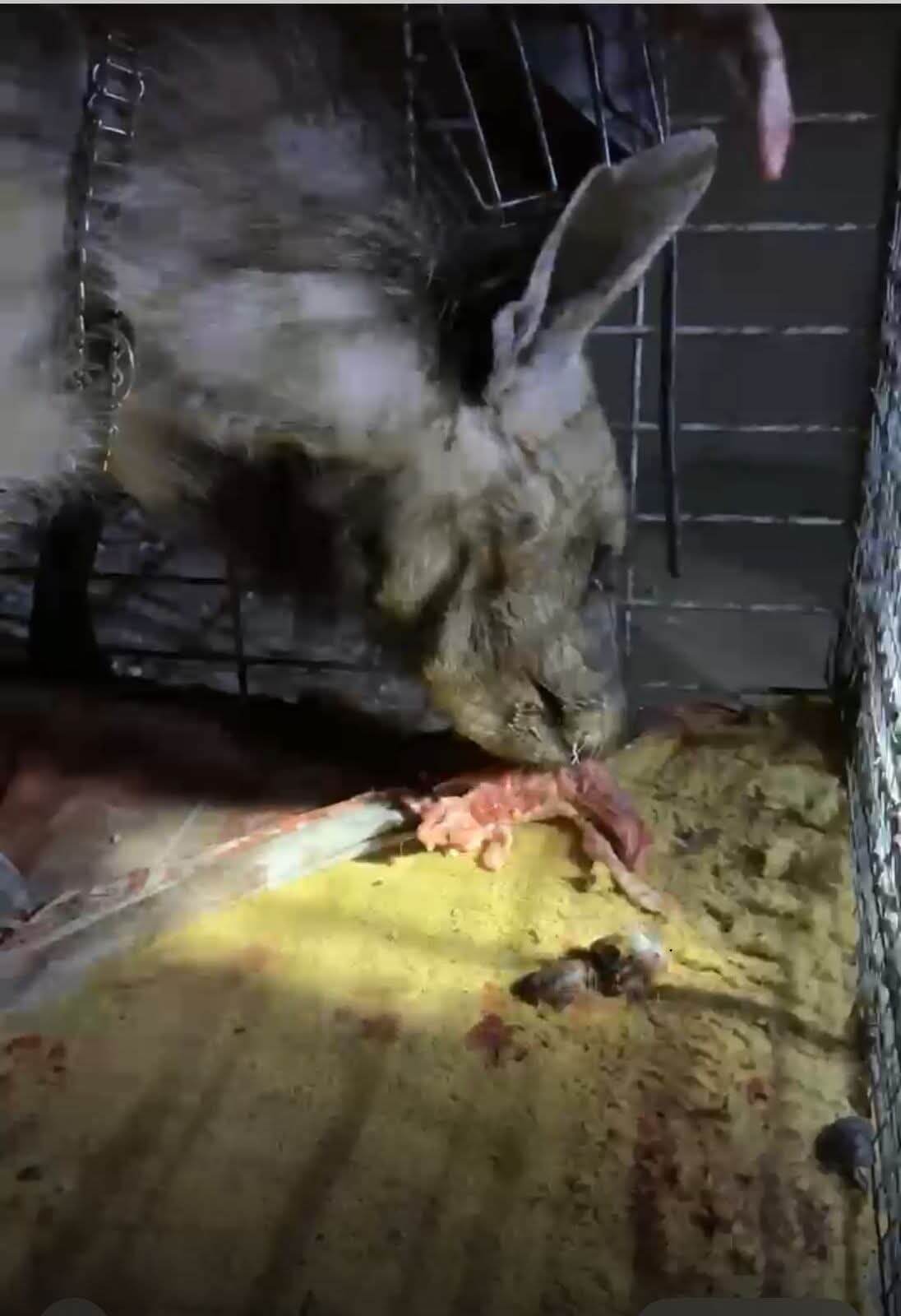 FB_IMG_1759917786985