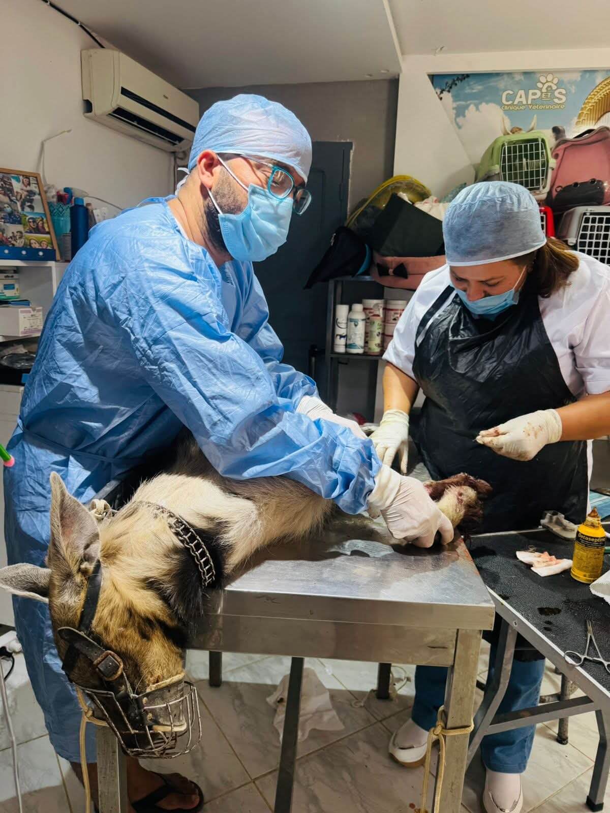 FB_IMG_1759917790947