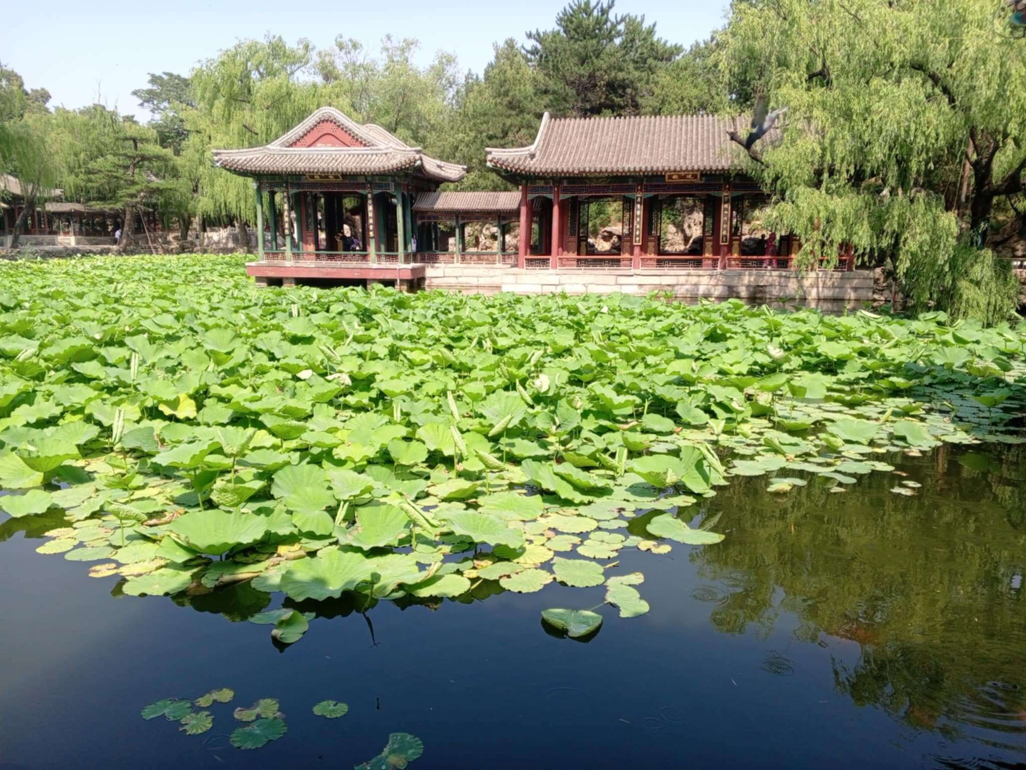 Messenger_creation_5B556EAC-3608-47C5-88E7-40C6EEB3820F