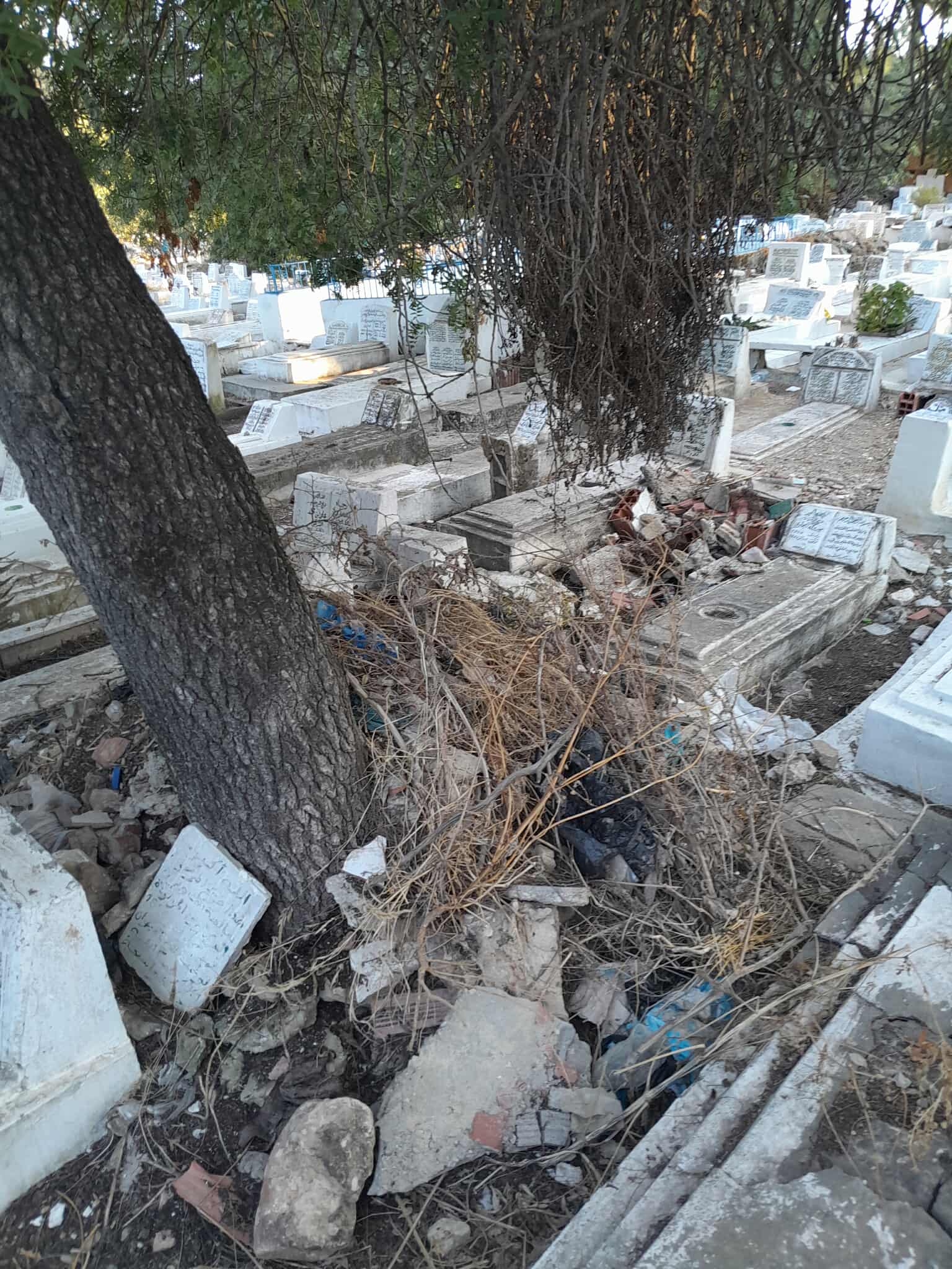 received_1061622886160140