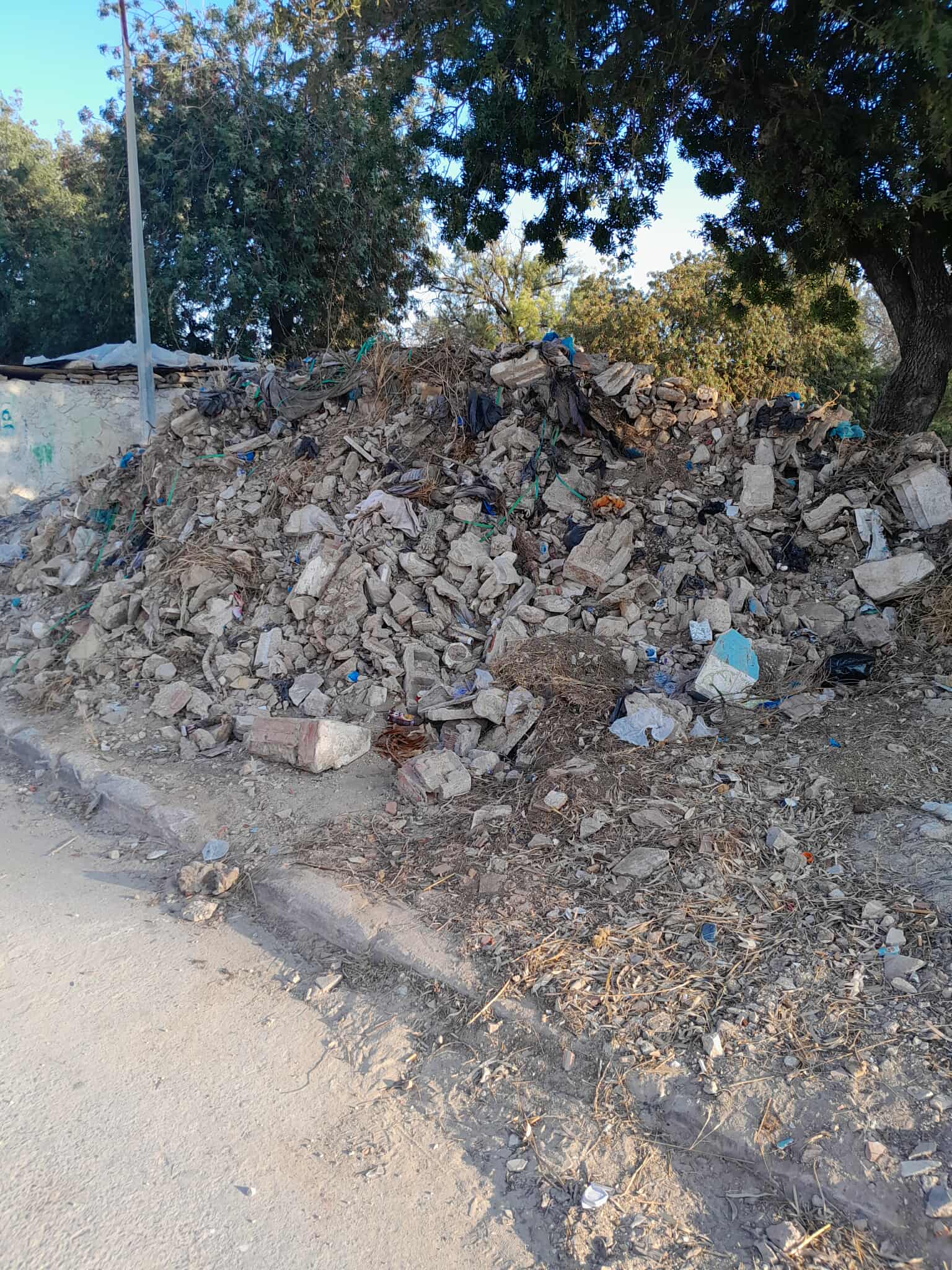 received_1088462509581739