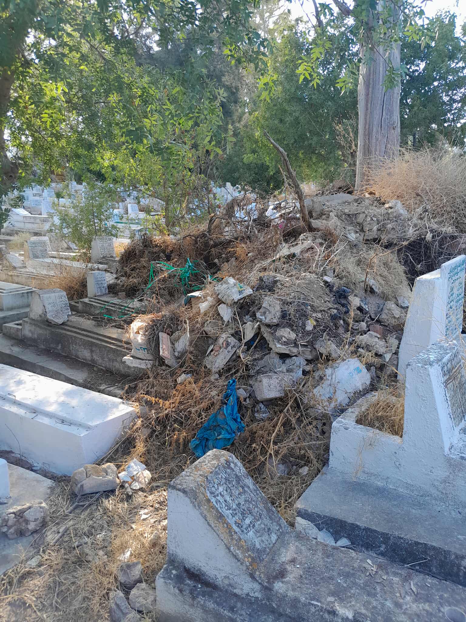 received_1277939164113350