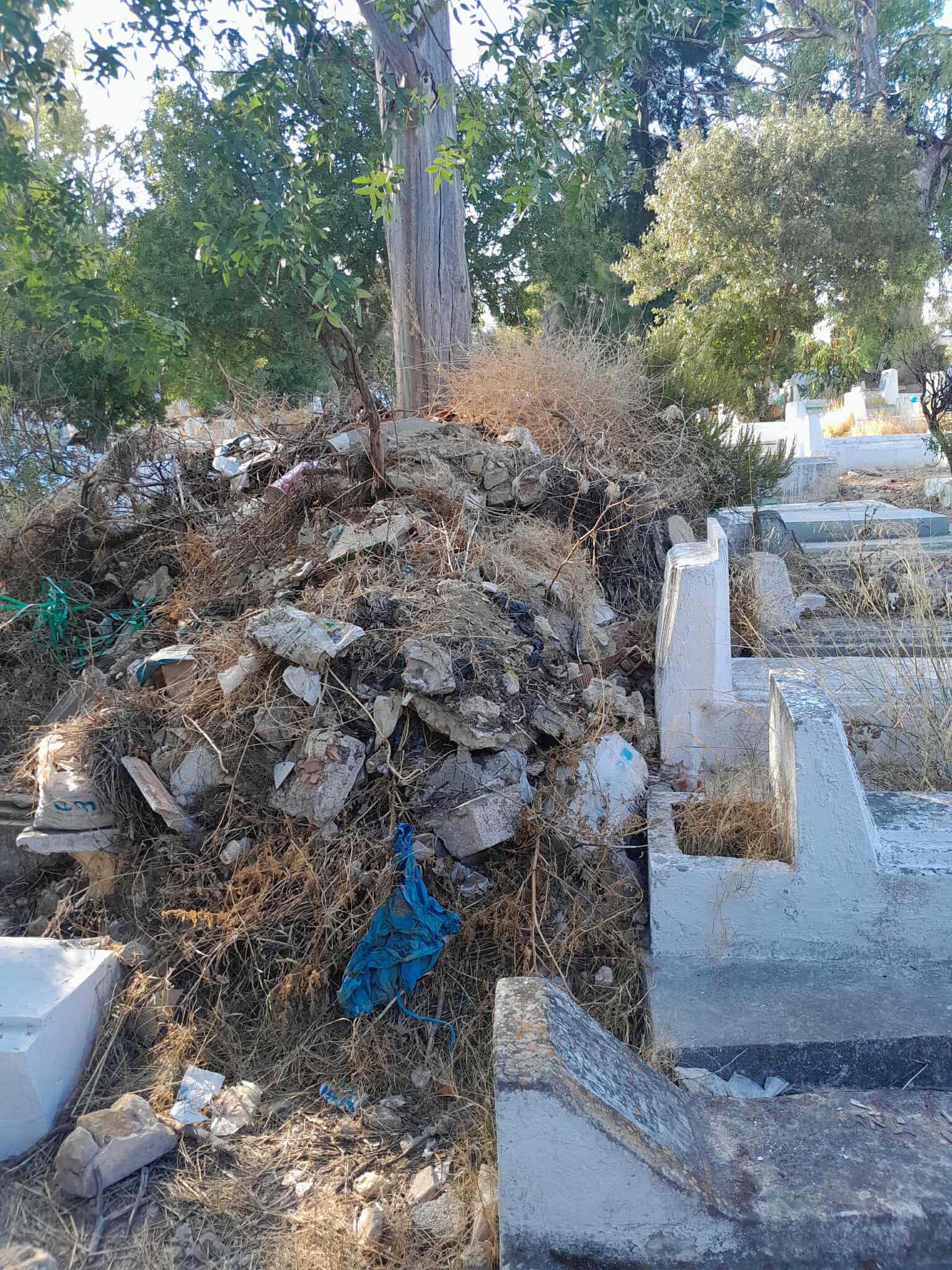 received_627327650421036