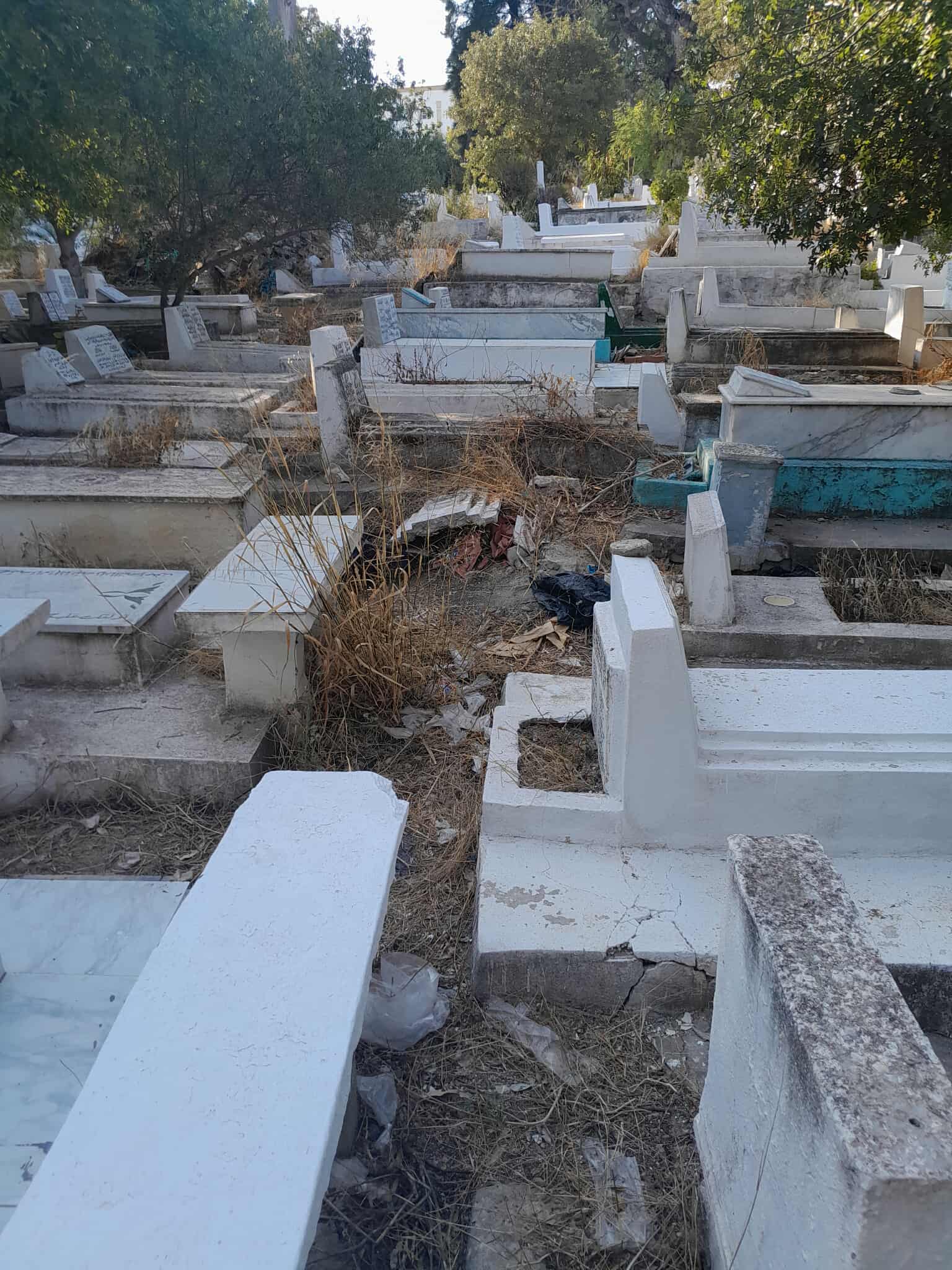 received_739930325685227