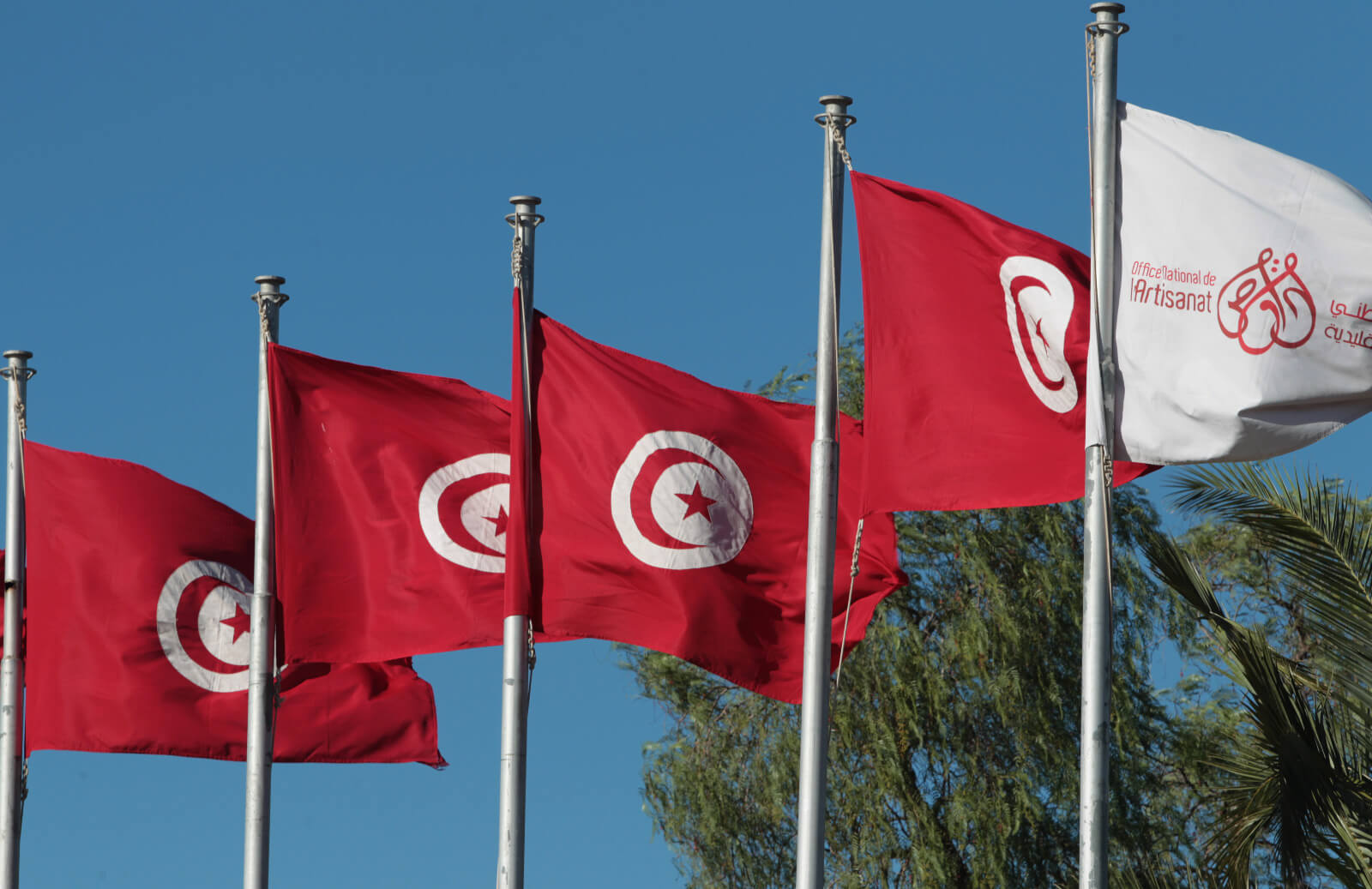 0b9e4d7e-9fdb-4e12-af99-6e7a8459a6a5