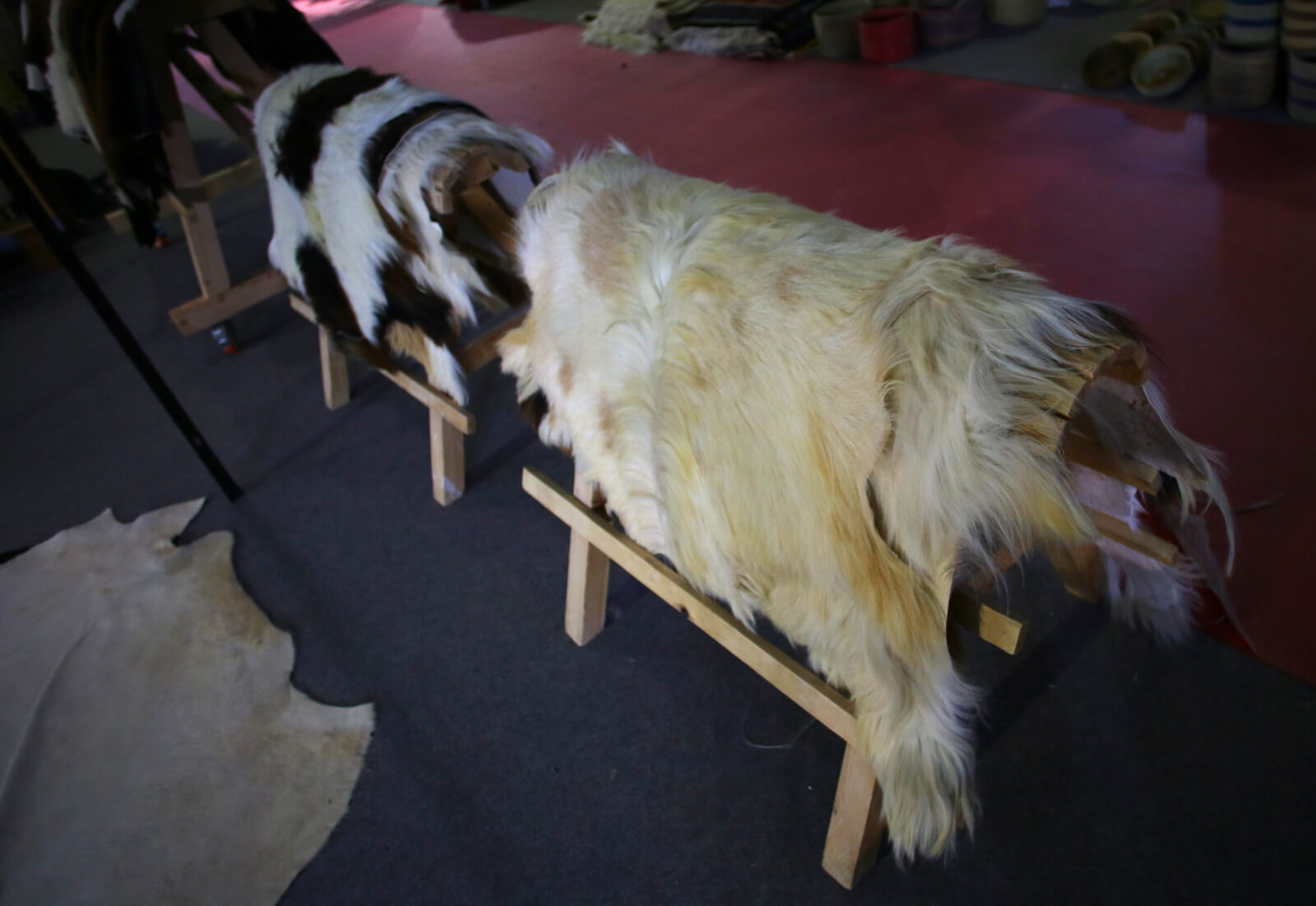 835665c3-f135-44e3-a2b9-e1a262f2af74