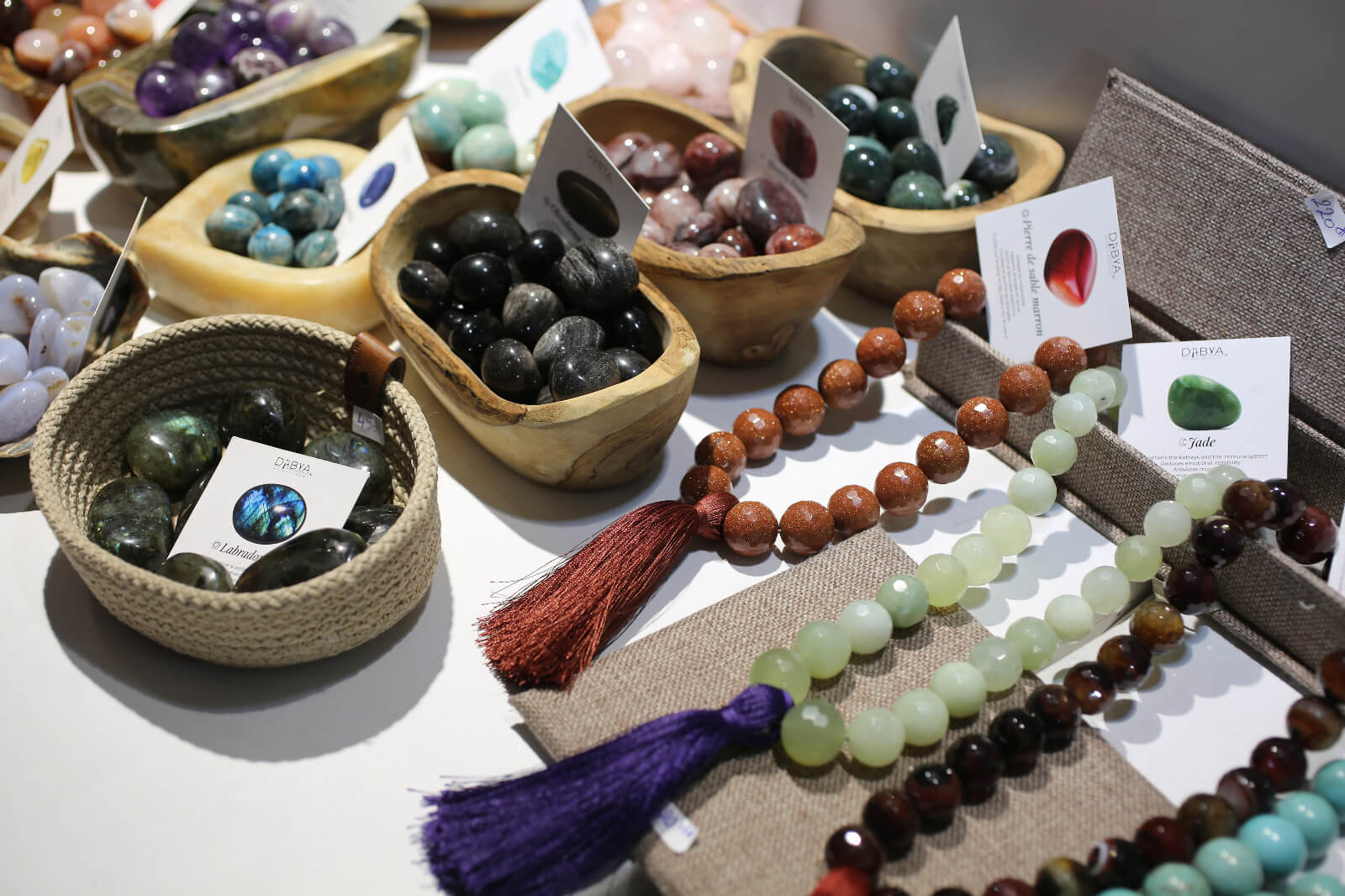 c5ad7705-16b8-4317-b5b6-ce3987d4d20a