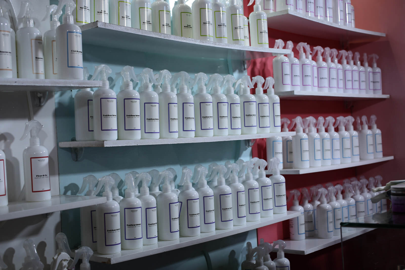 fe1df421-99dd-4b7e-96b0-b297471b3d68