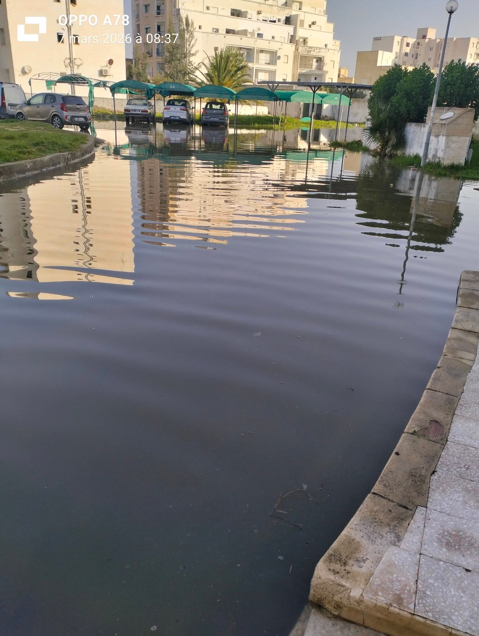 648096195_10238659619103370_7892767036970632875_n (1)