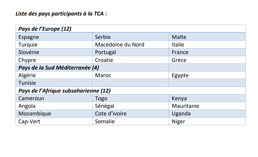 « Erasmus+ : Viser plus haut : établir des ponts entre l’Afrique et l’Europe pour des parcours universitaires communs »