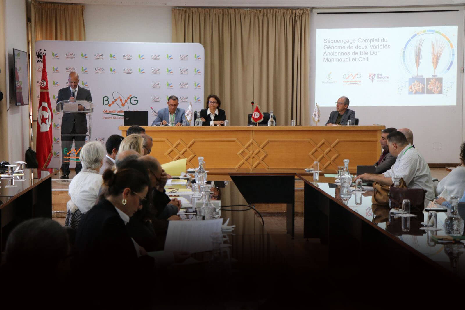 Souveraineté semencière : La Tunisie dévoile le génome complet de ses blés ancestraux