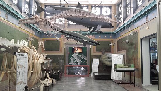 Fête nationale de l’agriculture : ouverture gratuite du Musée océanographique de Salammbô au public