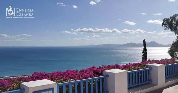 Le palais Ennejma Ezzahra de Sidi Bou Saïd se dote