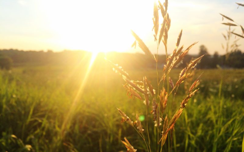 Meteo Petite Hausse Des Temperatures Ce Dimanche Realites Online