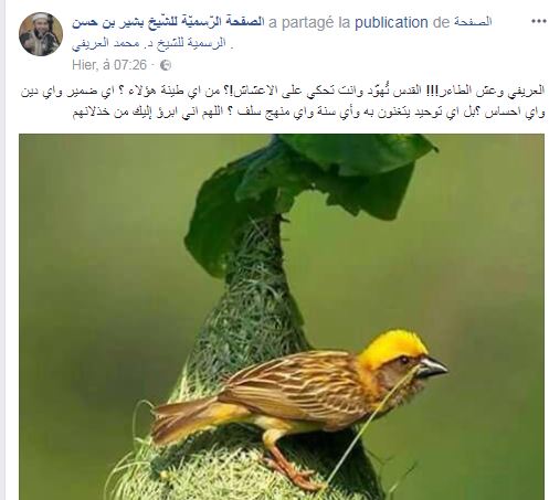 al-arifi